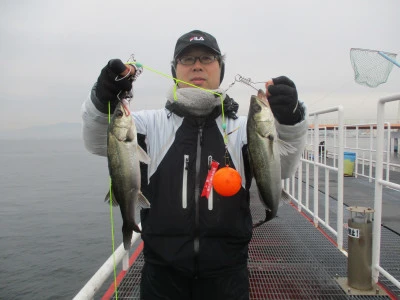 尼崎市立魚つり公園の2024年1月10日(水)1枚目の写真