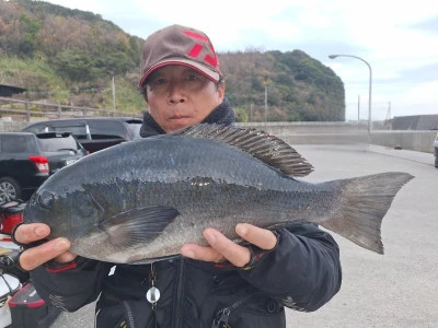 瀬渡し 磯の2023年12月30日(土)1枚目の写真