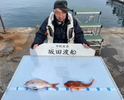 坂田渡船の2024年1月3日(水)2枚目の写真