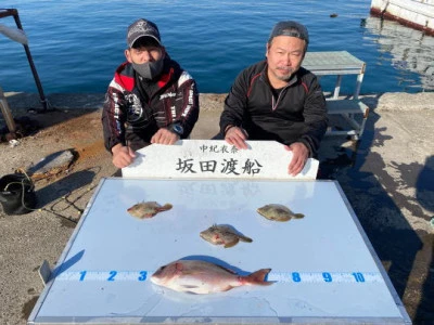 坂田渡船の2024年1月9日(火)1枚目の写真