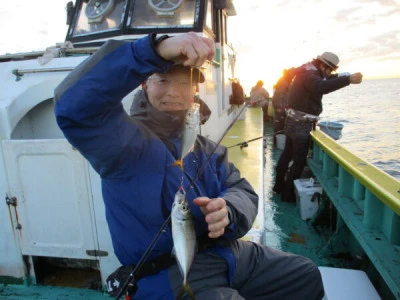 打木屋釣船店の2024年1月5日(金)2枚目の写真