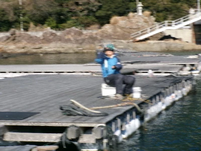 由良海つり公園&釣堀ランドの2024年1月17日(水)3枚目の写真
