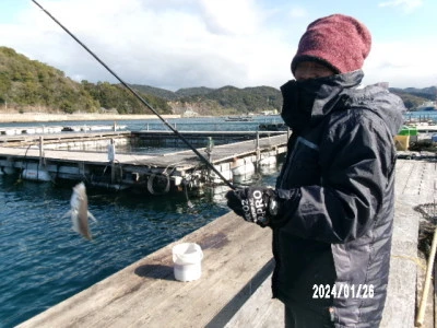 由良海つり公園&釣堀ランドの2024年1月26日(金)1枚目の写真