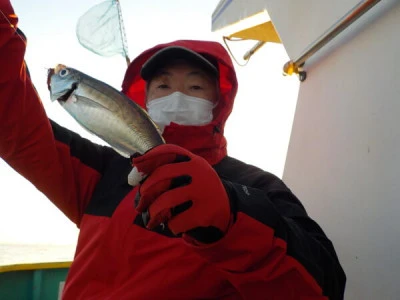 打木屋釣船店の2024年1月31日(水)2枚目の写真