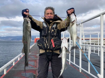 尼崎市立魚つり公園の2024年2月2日(金)1枚目の写真