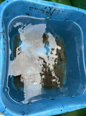 翔太丸の2024年2月11日(日)2枚目の写真
