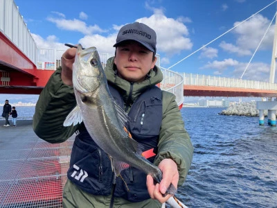 尼崎市立魚つり公園の2024年2月12日(月)1枚目の写真