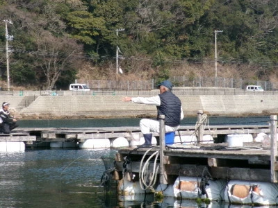 由良海つり公園&釣堀ランドの2024年2月14日(水)2枚目の写真