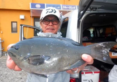 丸銀釣りセンターの2024年2月10日(土)4枚目の写真