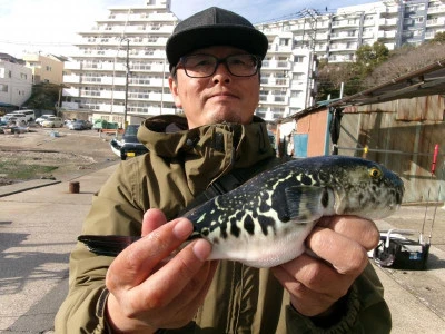 一郎丸の2024年2月14日(水)2枚目の写真