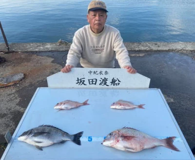 坂田渡船の2024年2月14日(水)1枚目の写真