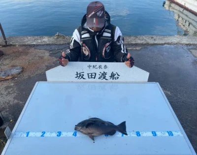 坂田渡船の2024年2月14日(水)3枚目の写真