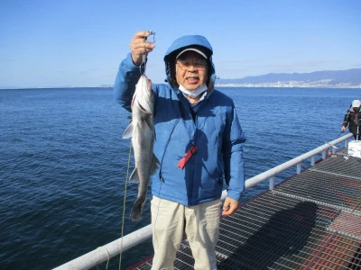 尼崎市立魚つり公園の2024年2月28日(水)1枚目の写真
