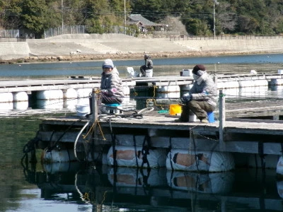 由良海つり公園&釣堀ランドの2024年3月11日(月)2枚目の写真