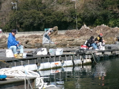 由良海つり公園&釣堀ランドの2024年3月15日(金)2枚目の写真