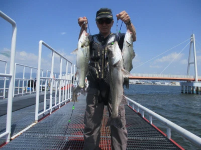 尼崎市立魚つり公園の2024年5月17日(金)1枚目の写真