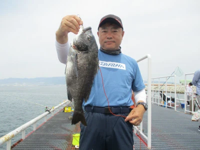 尼崎市立魚つり公園の2024年5月22日(水)1枚目の写真