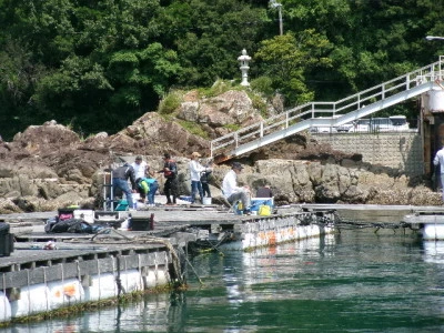 由良海つり公園&釣堀ランドの2024年5月26日(日)4枚目の写真