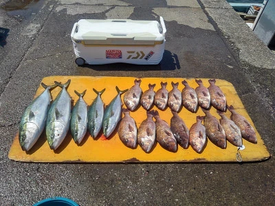 海上つり堀まるやの2024年5月29日(水)1枚目の写真