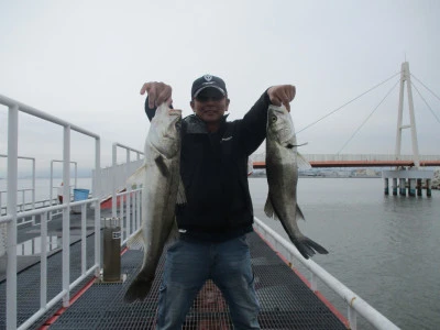 尼崎市立魚つり公園の2024年5月31日(金)1枚目の写真
