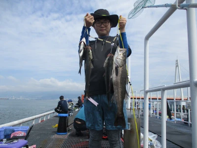 尼崎市立魚つり公園の2024年6月1日(土)2枚目の写真