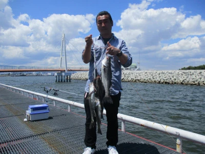 尼崎市立魚つり公園の2024年6月3日(月)1枚目の写真