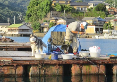岩崎レンタルボート(岩崎つり具店)の2024年6月5日(水)2枚目の写真