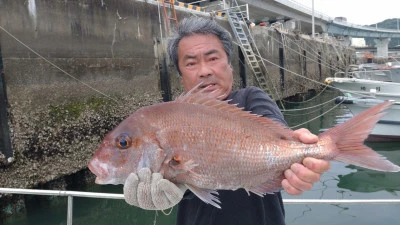 第三飛翔の2024年6月5日(水)1枚目の写真