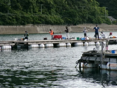 由良海つり公園&釣堀ランドの2024年6月8日(土)5枚目の写真