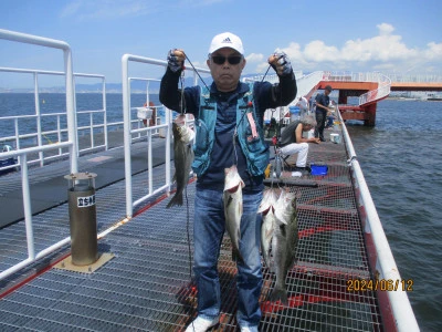 尼崎市立魚つり公園の2024年6月12日(水)1枚目の写真