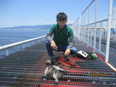 尼崎市立魚つり公園の2024年6月13日(木)2枚目の写真