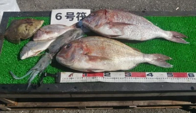 三重外湾漁協 錦事業所直営 釣り筏の2024年6月7日(金)2枚目の写真