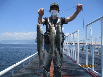 尼崎市立魚つり公園の2024年6月14日(金)1枚目の写真