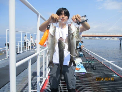 尼崎市立魚つり公園の2024年6月16日(日)1枚目の写真