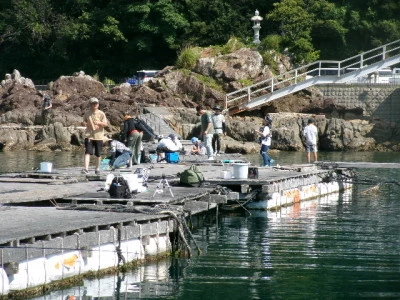 由良海つり公園&釣堀ランドの2024年6月16日(日)1枚目の写真