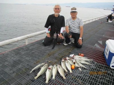 尼崎市立魚つり公園の2024年6月17日(月)2枚目の写真