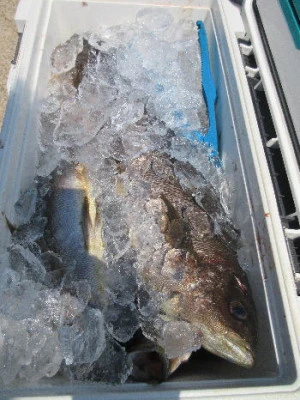 中山総合釣センター・海遊の2024年6月13日(木)4枚目の写真