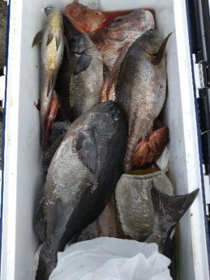 中山総合釣センター・海遊の2024年6月16日(日)4枚目の写真