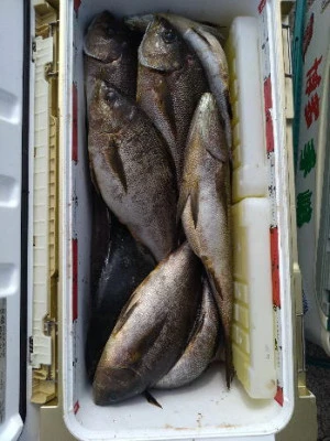 中山総合釣センター・海遊の2024年6月16日(日)5枚目の写真