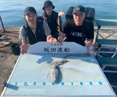 坂田渡船の2024年6月12日(水)1枚目の写真