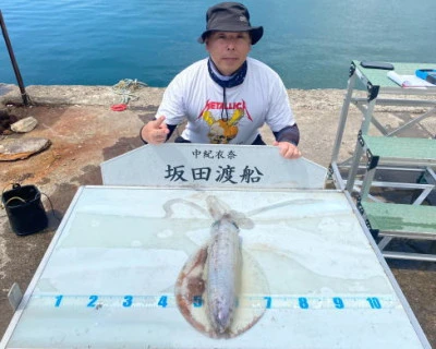 坂田渡船の2024年6月12日(水)2枚目の写真