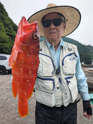 イカダ・マルキの2024年6月17日(月)2枚目の写真