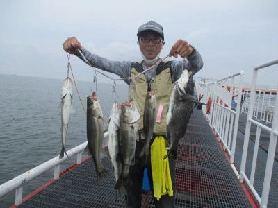 尼崎市立魚つり公園の2024年6月26日(水)1枚目の写真