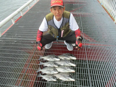 尼崎市立魚つり公園の2024年6月27日(木)2枚目の写真