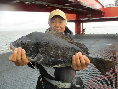 尼崎市立魚つり公園の2024年7月1日(月)2枚目の写真