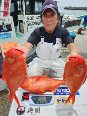 三昭丸の2024年7月3日(水)2枚目の写真