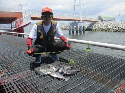 尼崎市立魚つり公園の2024年7月4日(木)1枚目の写真