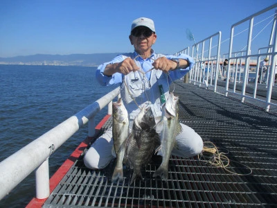 尼崎市立魚つり公園の2024年7月5日(金)1枚目の写真