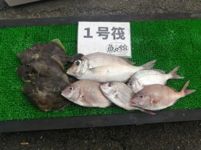 三重外湾漁協 錦事業所直営 釣り筏の2024年6月29日(土)1枚目の写真