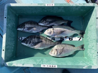 釣り筏 宇和海の2024年7月7日(日)2枚目の写真